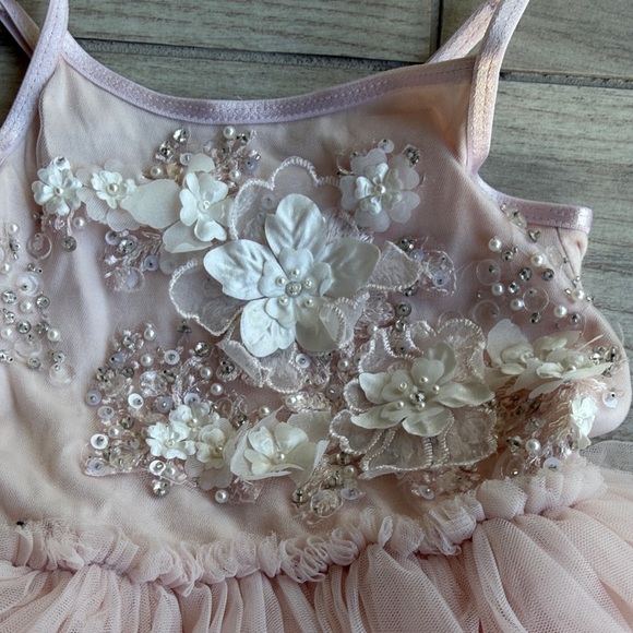 Tutu Du Monde Blush Pink Dress - Picture 3 of 5